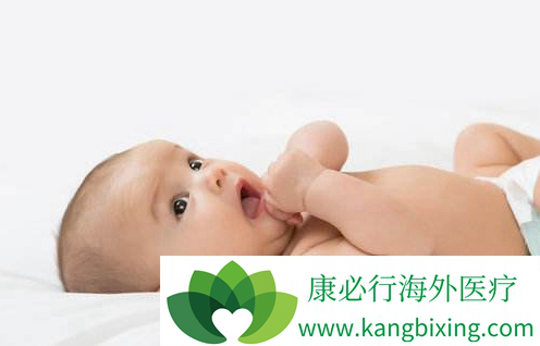 首席专家